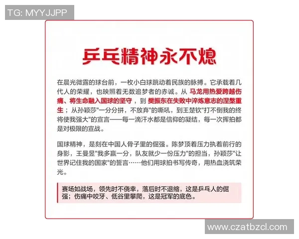 乒乓球运动的魅力与发展探索从国球精神到全民健身新风尚